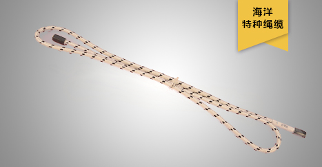 深海潛標數據實時傳輸繩纜