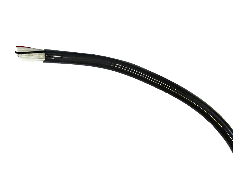 臍帶纜繩 臍帶纜繩