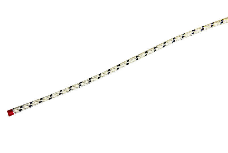 臍帶纜繩 臍帶纜繩