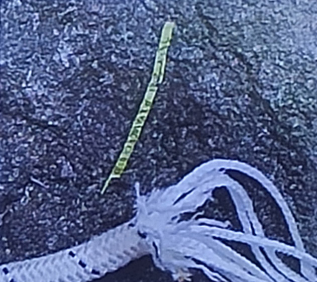 繩皮滑動的表現 繩皮滑動的表現